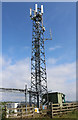 Radio Mast at North Lossat