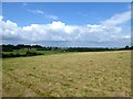 Long Field/Cinder Banks