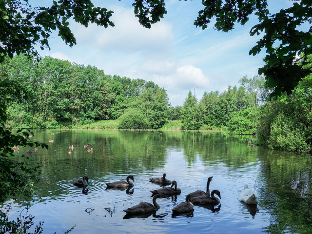Brasside Pond © Trevor Littlewood cc-by-sa/2.0 :: Geograph Britain and ...