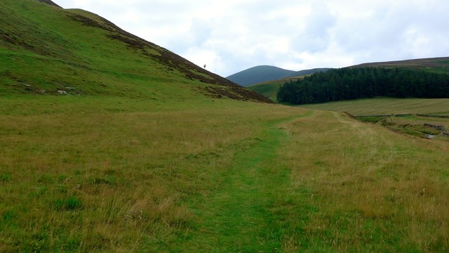 Grassy path at Henry's Brae