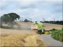 NZ2843 : Harvesting barley crop by Trevor Littlewood