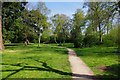 Footpath in Bewdley Hill Wood, Bewdley Hill, Kidderminster, Worcs