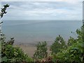 A vertiginous shot from a tea garden at Luccombe