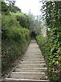 (Steep) Steps from Rylstone Gardens to Luccombe Beach