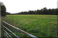 Green field in Lodge near Wrexham