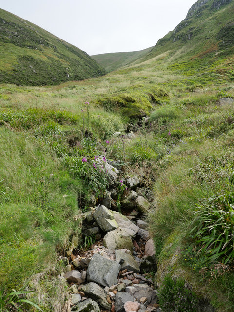A dry stream bed
