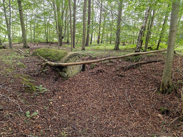 Ice House/Pit in Cormack Wood