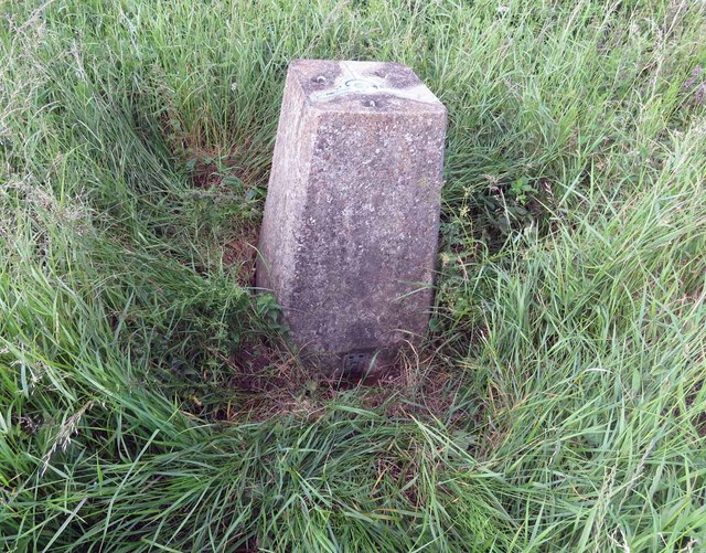 Willoughby triangulation pillar with trampled grass