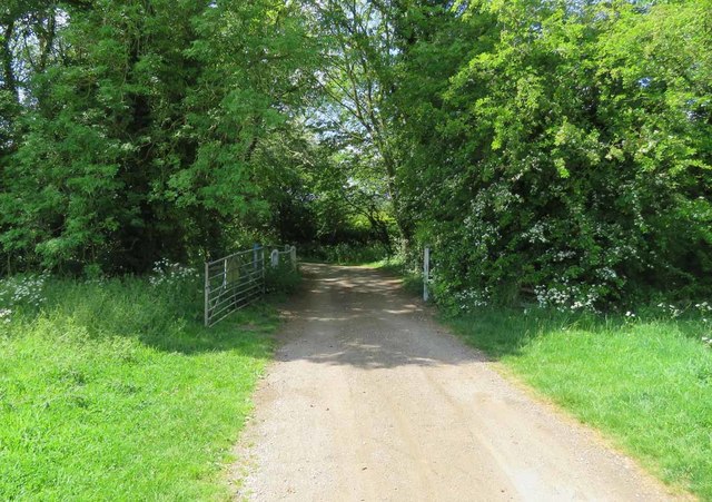 Skeffington Road into the woods with gate open
