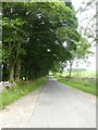 Road from Castlehowe Scar to Wyebourne Farms