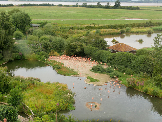 WWT Slimbridge Wetland Centre © David Dixon Cc-by-sa/2.0 :: Geograph ...