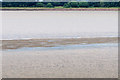 SO7205 : Sandbank in the Severn Estuary by David Dixon