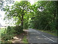 Butterfly Lane near Slades Farm