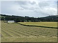 Farmland near Auchterarder