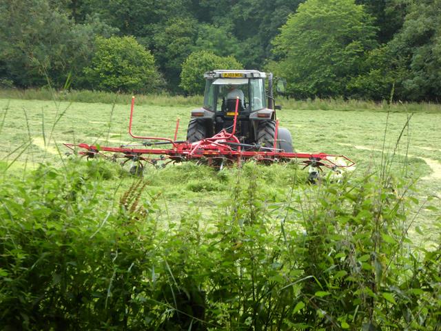 Turning the hay near Lyvennet Bridge
