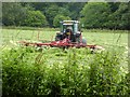 Turning the hay near Lyvennet Bridge