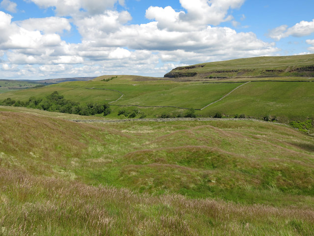 Fallow Hill © Mike Quinn :: Geograph Britain and Ireland