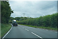 Hedges by the road