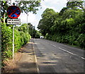 Clearway for 8 miles, Newport Road, Llantarnam