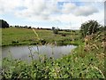 Fishing pond at Dyke Nook