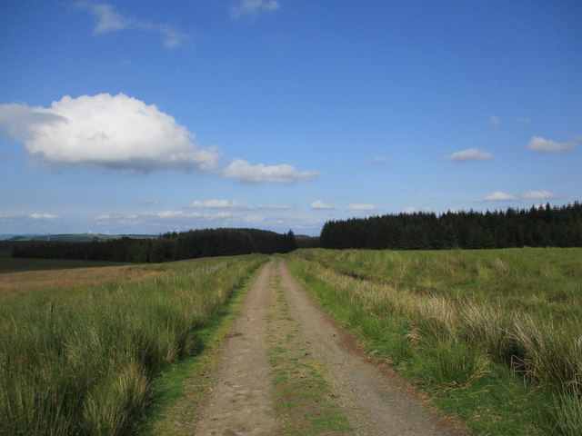 Track across moorland near Logan