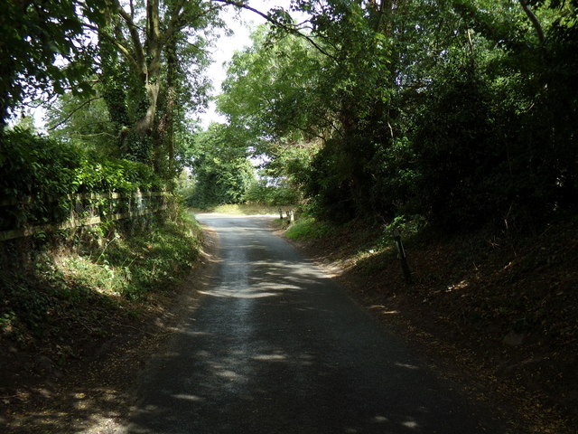 Bilney Lane, Felthorpe