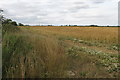 Cereals by the road to Twyford