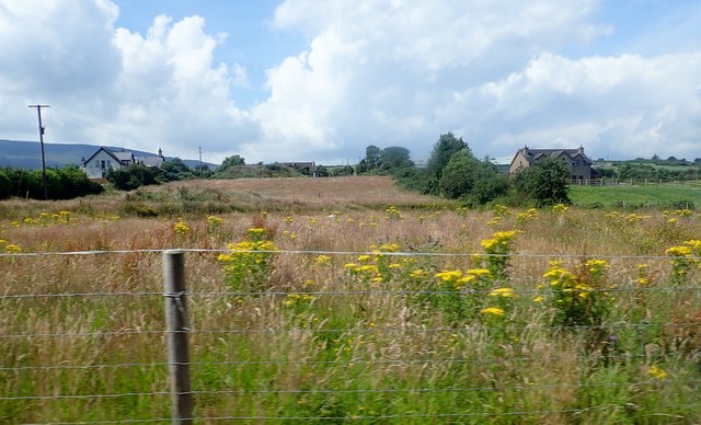 Hay fields on the Low Road