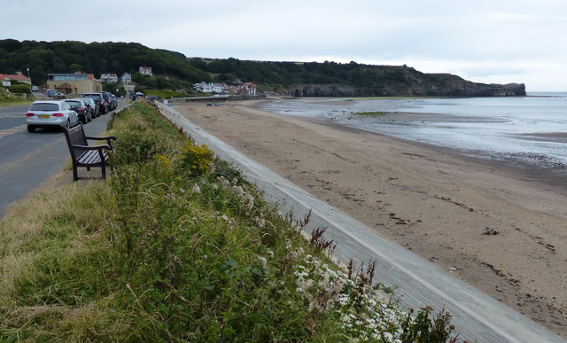 can you take dogs on sandsend beach