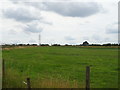 Grassland off Dunstable Road