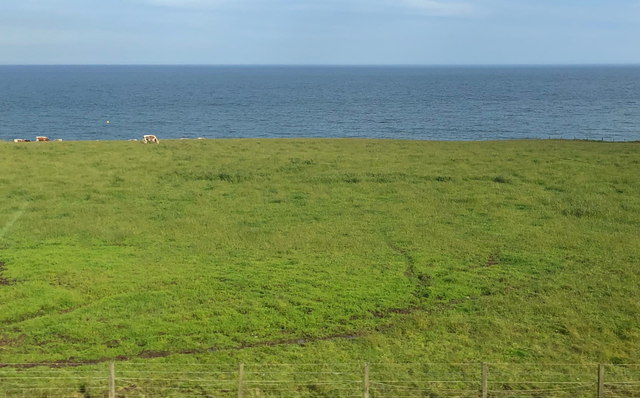 Grazing land above the cliffs at North Altens
