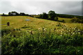 Drumowen Townland