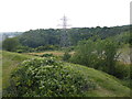 View from Castle Hill