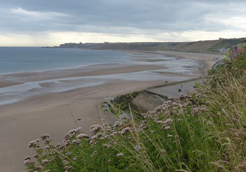 Sandsend Beach viewed from the Cleveland... © Mat Fascione :: Geograph ...