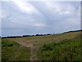 Great Meadow/Stable Meadow