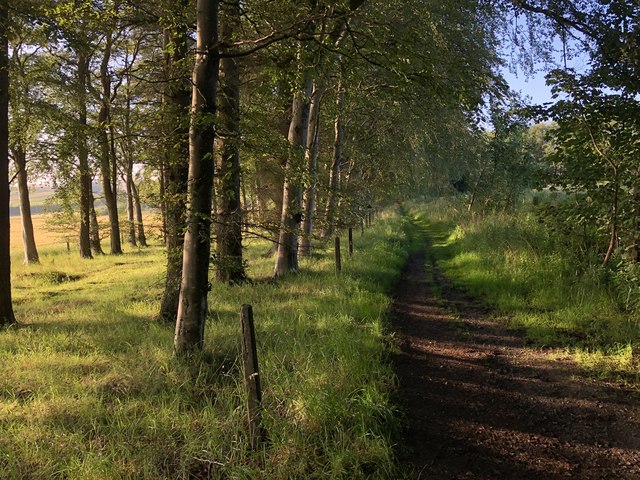 Path leading to Kinseat © David Robinson :: Geograph Britain and Ireland