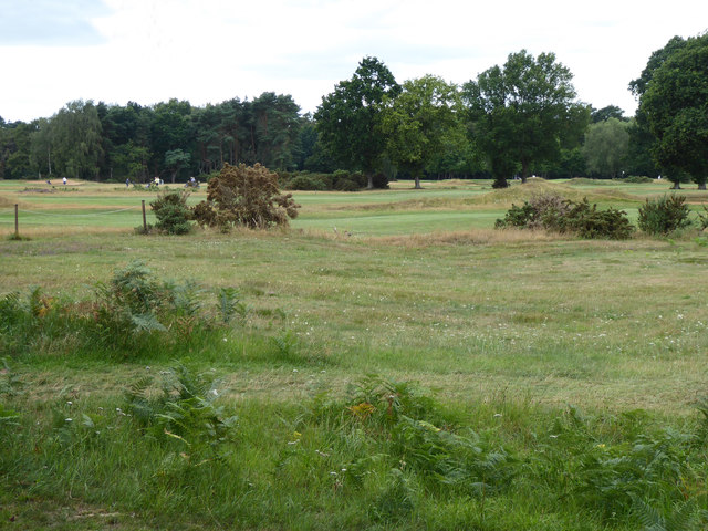 Part of Frilford Heath Golf Club course