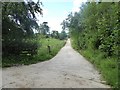 Driveway to Wormpotts Farm