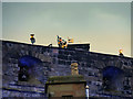 NT2573 : Lone Piper on Edinburgh Castle Ramparts by David Dixon