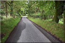 H5472 : Damp patches along Roeglen Road by Kenneth  Allen