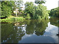 Reflections in the River Medway