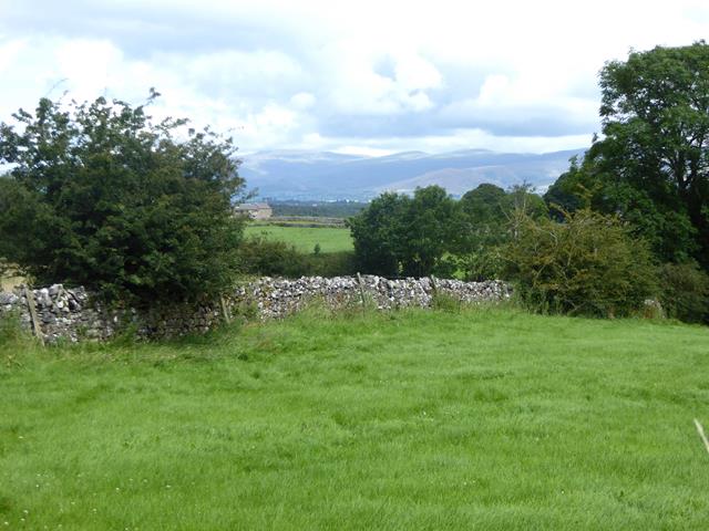 Field near Long Moor