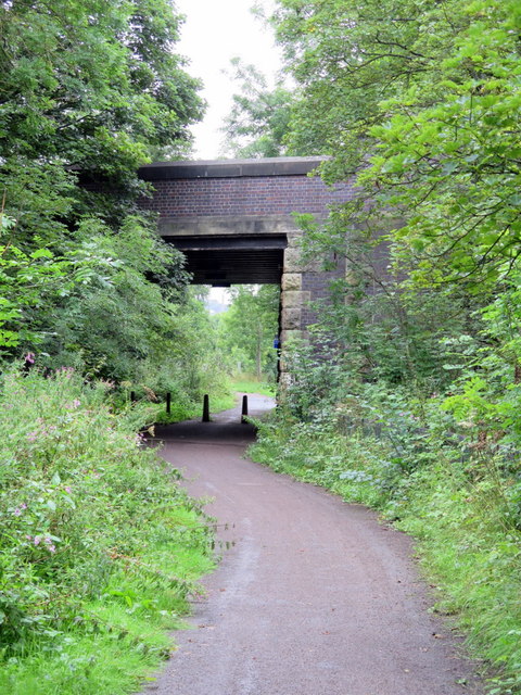 Road bridge over former railway path near Swalwell Bridge