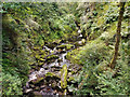 C6704 : Waterfalls and pool on Glenedra Water - Banagher Glen Nature Reserve by Phil Champion