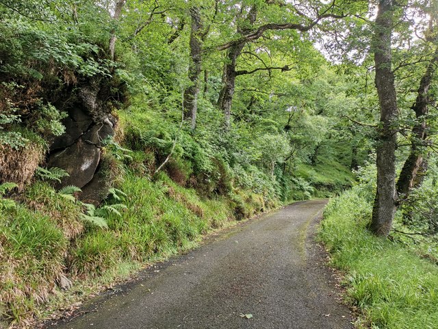 Track through Banagher Glen Nature Reserve