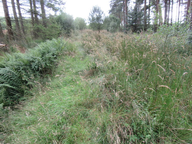 Bridleway near Stonehaugh © T Eyre :: Geograph Britain and Ireland