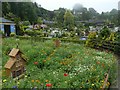 SX9265 : Wild flower meadow and bug houses, Babbacombe Model Village by David Smith