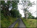 The Coach Road ascending a drumlin south of Newtownhamilton