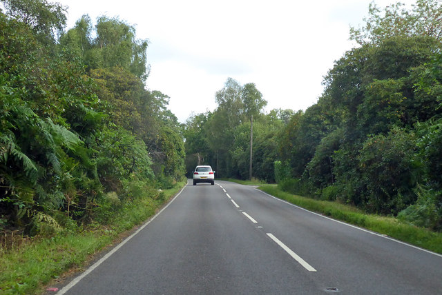 Bearwood Road © Robin Webster cc-by-sa/2.0 :: Geograph Britain and Ireland