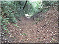 Path near High Field Copse